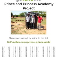https://gofundme.com/prince-princessddd